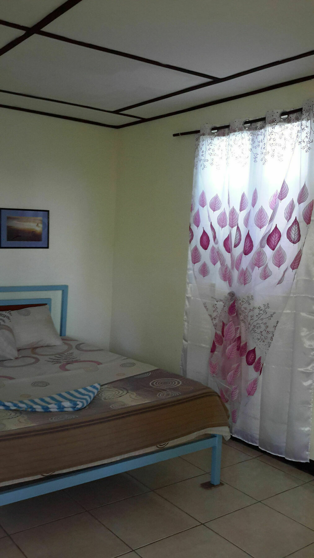 Calypso Resort Панглао Екстер'єр фото